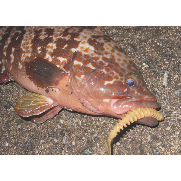 ガルプ！SWパルスワーム　4インチ